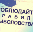 ВНИМАНИЕ, НЕРЕСТ! - Пучежские вести
