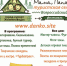 «Мама, папа, я – туристская семья» - Пучежские вести