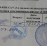 За использование поддельной справки об антителах к COVID-19 на жительницу Иваново заведено дело - Пучежские вести