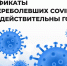 В Ивановской области сертификаты переболевших коронавирусом будут действовать год - Пучежские вести