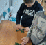 «Осенний калейдоскоп» Познавательно – игровая программа - Межпоселенческая ЦБС