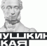 Как получить Пушкинскую карту? - Межпоселенческая ЦБС