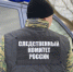 Житель Пучежского района предстанет перед судом по обвинению в убийстве брата - Пучежские вести