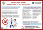 Всемирный день борьбы с энцефалитом