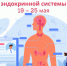 Неделя профилактики заболеваний эндокринной системы - Пучежские вести